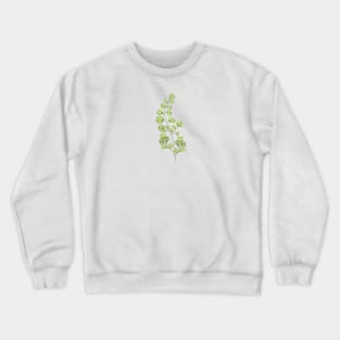 Ginko Biloba Plant Botanical Crewneck Sweatshirt